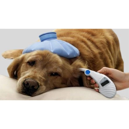 Advanced Monitors Corporation Pet Temp Instant Ear Thermometer For Pets - Image 3