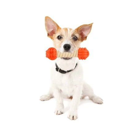 All For Paws Creaky Sound Chew Bone 4 All For Paws Creaky Sound Chew Bone - Image 2