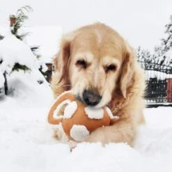 All For Paws Lambswool Handle Socccer Ball Dog Toy -Pet Products Store allforpawslambswoolhandlesocccerballdogtoy 6