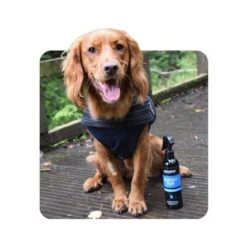 Animology Mucky Pup No Rinse Puppy Shampoo - 250 Ml -Pet Products Store animologymuckypupnorinsepuppyshampoo 250ml 5