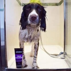 Animology True Colours Dog Shampoo -Pet Products Store animologytruecoloursdogshampoo250ml 3 1
