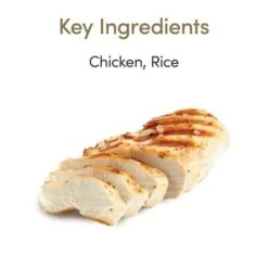 Applaws Chicken Canned Kitten Food - 70g - Pack Of 24 -Pet Products Store applawschickencannedkittenfood 70gpackof24 5