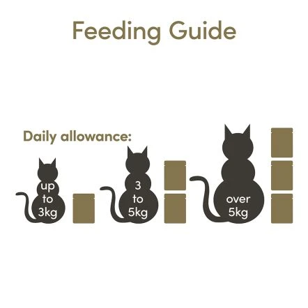 Applaws Pouch Tuna With Whole Anchovy Cat Food - 70g - Pack Of 12 6 Applaws Pouch Tuna With Whole Anchovy Cat Food - 70g - Pack Of 12 - Image 4