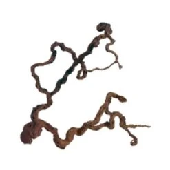 Aquadeco Wine Wood -Pet Products Store aquadecowinewoodlarge 1 1