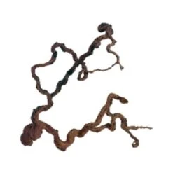 Aquadeco Wine Wood -Pet Products Store aquadecowinewoodxsmall 1 1