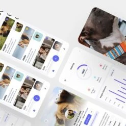 Bark Badge Sand Fun Badge For Pets 11 Bark Badge Sand Fun Badge For Pets -Pet Products Store barkbadgebadgeforpets 1 1 1