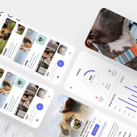 Bark Badge Sand Fun Badge For Pets 6 Bark Badge Sand Fun Badge For Pets - Image 4