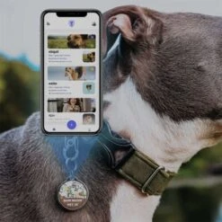 Bark Badge Wavy Red Badge For Pets 14 Bark Badge Wavy Red Badge For Pets -Pet Products Store barkbadgebadgeforpets 2 3