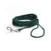 Beeztees Nylon Lead Green In Blister -Pet Products Store beezteesnylonleadgreeninblister10m 1