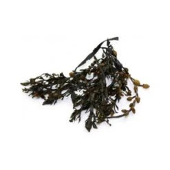 Biogance Dentiplaque, 100g