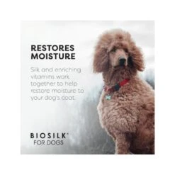 Biosilk Silk Therapy With Organic Coconut Oil Dog Shampoo, 355 Ml -Pet Products Store biosilksilktherapywithorganiccoconutoildogshampoo355ml 4