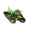 Blue Ribbon Mopani Wood With Plants Aquarium Decor Small -Pet Products Store blueribbonmopaniwoodwithplantsaquariumdecorsmall 1