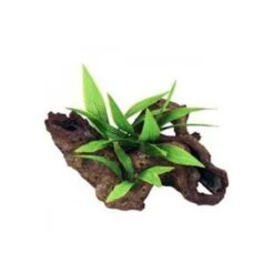 Blue Ribbon Mopani Wood With Plants Aquarium Decor Small -Pet Products Store blueribbonmopaniwoodwithplantsaquariumdecorsmall1