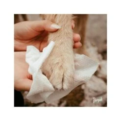 Booyah Bamboo CleansingJumbo Pet Wipes - 100 Pcs -Pet Products Store booyah bamboo cleansing jumbo pet wipes 100 pcs 6