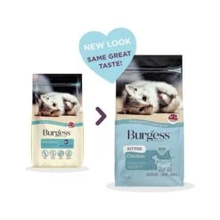 Burgess British Chicken Kitten Dry Food - 1.5 Kg -Pet Products Store burgess british chicken kitten dry food 1.5 kg 3