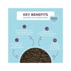 Burgess British Chicken Kitten Dry Food - 1.5 Kg -Pet Products Store burgess british chicken kitten dry food 1.5 kg 4