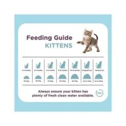 Burgess British Chicken Kitten Dry Food - 1.5 Kg -Pet Products Store burgess british chicken kitten dry food 1.5 kg 5