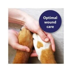 Canosept Wound Spray For Dogs - 75 Ml -Pet Products Store canosept wound spray for dogs 75 ml 2