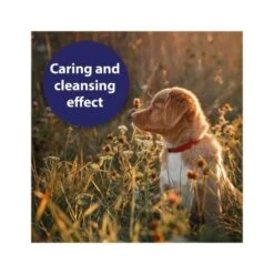 Canosept Wound Spray For Dogs - 75 Ml -Pet Products Store canosept wound spray for dogs 75 ml 4