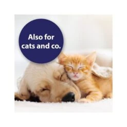 Canosept Wound Spray For Dogs - 75 Ml -Pet Products Store canosept wound spray for dogs 75 ml 5