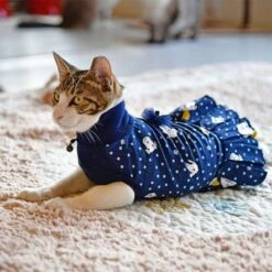 Catspia Pixie Navy Cat Turtleneck, Large -Pet Products Store catspiapixienavycatturtlenecklarge 3