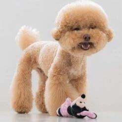 DAN Disney Plush Stick Minnie Mouse Dog Toy - 8.5L X 7W X 15H Cm -Pet Products Store dandisneyplushstickminniemousedogtoy 8.5lx7wx15hcm 3