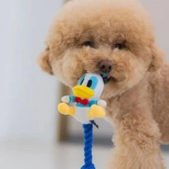 DAN Disney Rope Donald Duck Dog Toy - 6.7L X 5.4W X 21H Cm -Pet Products Store dandisneyropedonaldduckdogtoy 6.7lx5.4wx21hcm 3