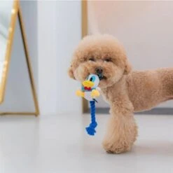 DAN Disney Rope Donald Duck Dog Toy - 6.7L X 5.4W X 21H Cm -Pet Products Store dandisneyropedonaldduckdogtoy 6.7lx5.4wx21hcm 4