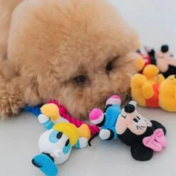 DAN Disney Rope Minnie Dog Toy - 6.7L X 5.4W X 21H Cm -Pet Products Store dandisneyropeminniedogtoy 6.7lx5.4wx21hcm 4