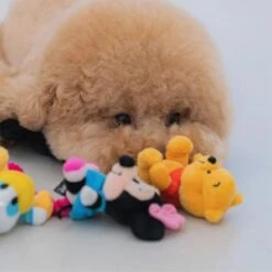 DAN Disney Rope Pooh Dog Toy - 6.7L X 5.4W X 21H Cm 7 DAN Disney Rope Pooh Dog Toy - 6.7L X 5.4W X 21H Cm -Pet Products Store dandisneyropepoohdogtoy 6.7lx5.4wx21hcm 3