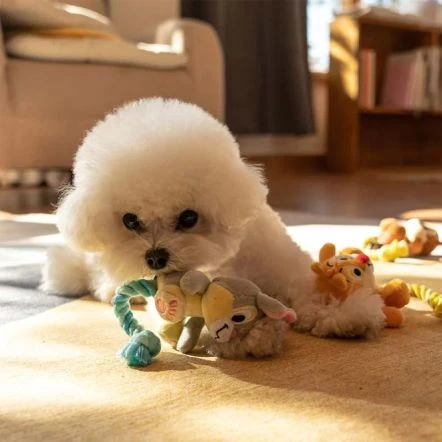 DAN Disney Rope Thumper Dog Toy - 6.7L X 5.4W X 21H Cm 5 DAN Disney Rope Thumper Dog Toy - 6.7L X 5.4W X 21H Cm - Image 3