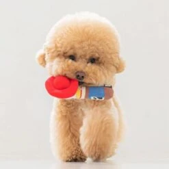 DAN Toy Story Plush Stick Jessie Dog Toy - 8.5L X 9W X 15H Cm -Pet Products Store dantoystoryplushstickjessiedogtoy 8.5lx9wx15hcm 3