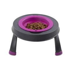 Dexas Single Elevated Pet Feeder - Fuchsia -Pet Products Store dexassingleelevatedpetfeeder1.5cupcapacity fuchsia small 5 1 1
