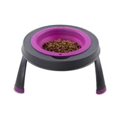 Dexas Single Elevated Pet Feeder - Fuchsia -Pet Products Store dexassingleelevatedpetfeeder4cupcapacity fuchsia large 5 1 1