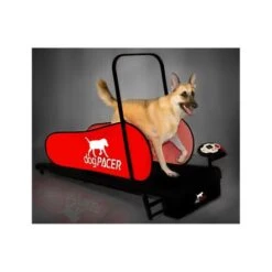 DogPacer LF 3.1 Treadmill For Dog -Pet Products Store dogpacerlf3.1treadmillfordog 6