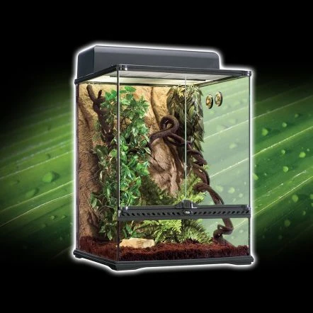 Exo Terra Rainforest Terrarium Habitat Kit - Image 3