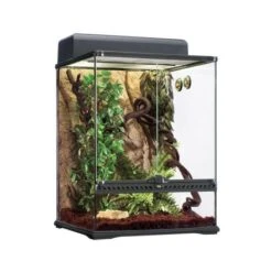 Exo Terra Rainforest Terrarium Habitat Kit