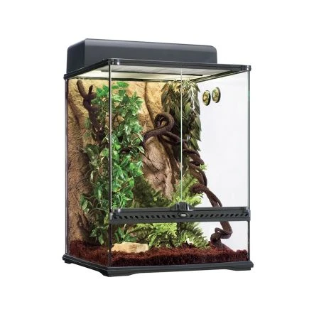 Exo Terra Rainforest Terrarium Habitat Kit
