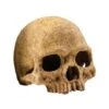 Exo Terra Decor Human Skull Terrarium Decor -Pet Products Store exoterradecorhumanskullterrariumdecor 1