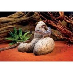 Exo Terra Dinosaur Eggs Fossil Hide Out -Pet Products Store exoterradinosaureggsfossilhideout 2