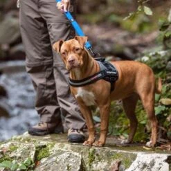 EzyDog Convert Dog Harness, Charcoal -Pet Products Store ezydogconvertdogharness charcoal 3