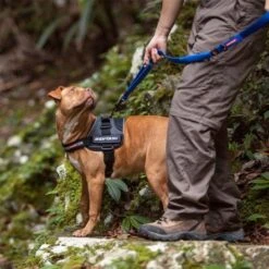 EzyDog Convert Dog Harness, Charcoal -Pet Products Store ezydogconvertdogharness charcoal 5