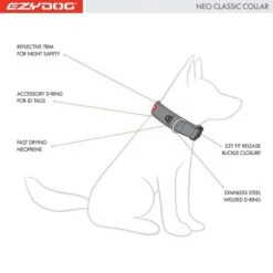 EzyDog Neo Dog Collar Black - Xsmall -Pet Products Store ezydogneodogcollarblack xsmall 3