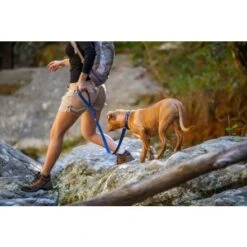 EzyDog Zero Shock Dog Lead 25" -Pet Products Store ezydogzeroshockdoglead25 blue 3