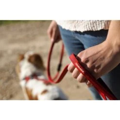 EzyDog Zero Shock Lite Dog Leash, 72" -Pet Products Store ezydogzeroshocklitedogleash 72 red 11