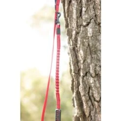 EzyDog Zero Shock Lite Dog Leash, 72" -Pet Products Store ezydogzeroshocklitedogleash 72 red 6