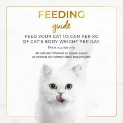 Fancy Feast Classic Pate Chicken And Liver Feast Canned Cat Food - 85 G - Pack Of 24 11 Fancy Feast Classic Pate Chicken And Liver Feast Canned Cat Food - 85 G - Pack Of 24 -Pet Products Store fancyfeastclassicpatechickenandliverfeastcannedcatfood 85g packof24 4