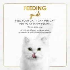 Fancy Feast Gravy Lovers Beef Feast In Roasted Beef Flavour Gravy Canned Cat Food - 85 G - Pack Of 24 -Pet Products Store fancyfeastgravyloversbeeffeastinroastedbeefflavourgravycannedcatfood 85g packof24 4