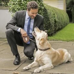 Flexi Leather Tape Dog Leash M , 5 M Dark Brown -Pet Products Store flexileathertapedogleashm5mdarkbrown 3