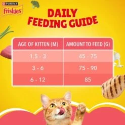 Friskies Kitten Discoveries Dry Kitten Food -Pet Products Store friskieskittendiscoveriesdrykittenfood 1kg 4